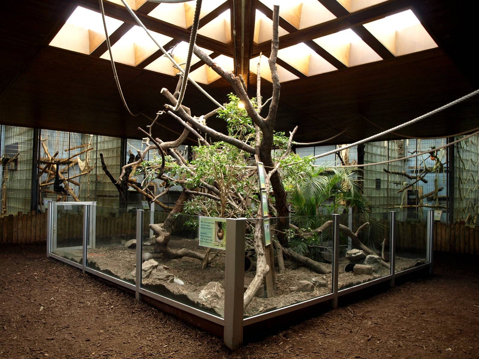 Duisburg Zoo - Equatorium