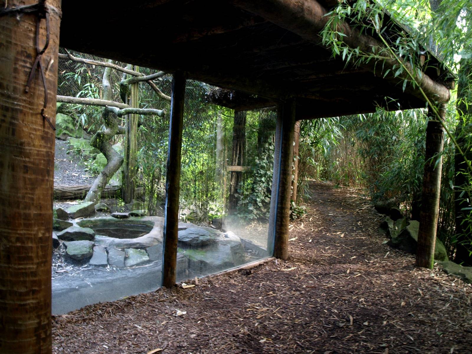 Duisburg Zoo - Fossa exhibit