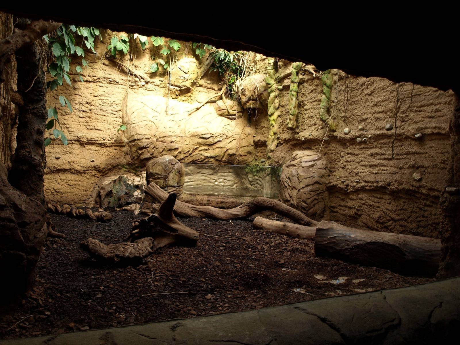 Duisburg Zoo - Giant river otter den