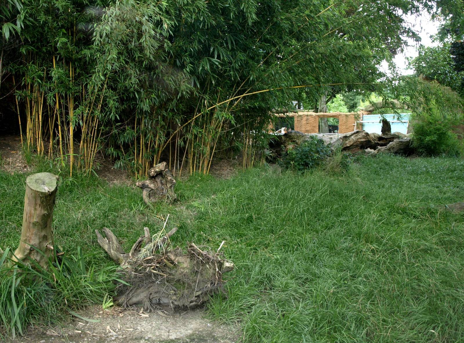 Duisburg Zoo - Giant river otter exhibit