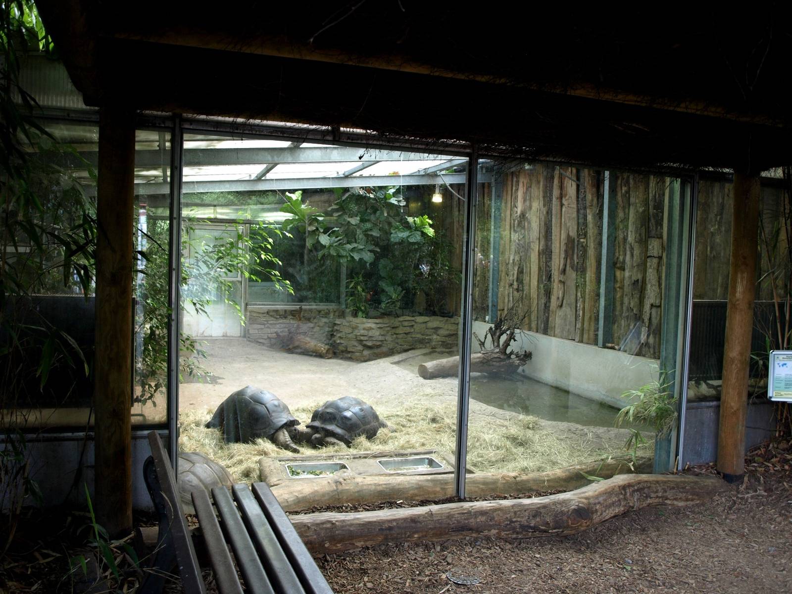 Duisburg Zoo - Giant tortoise house