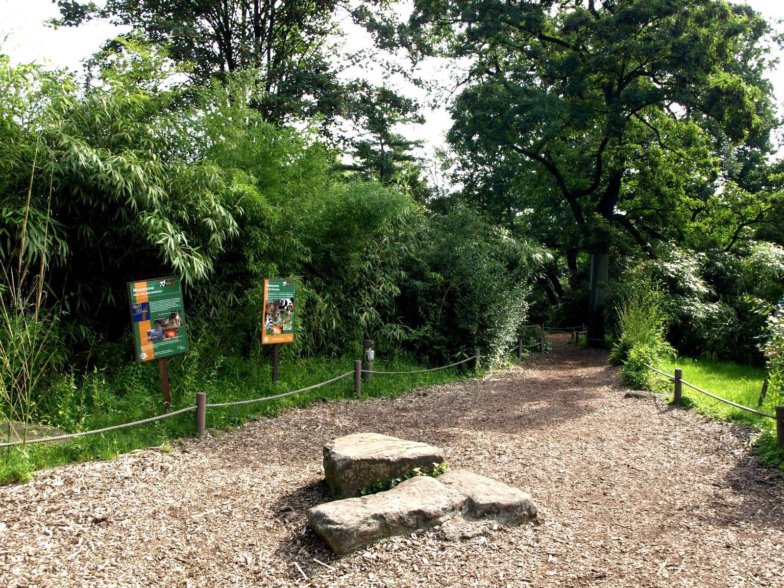 Duisburg Zoo - Lemur Island