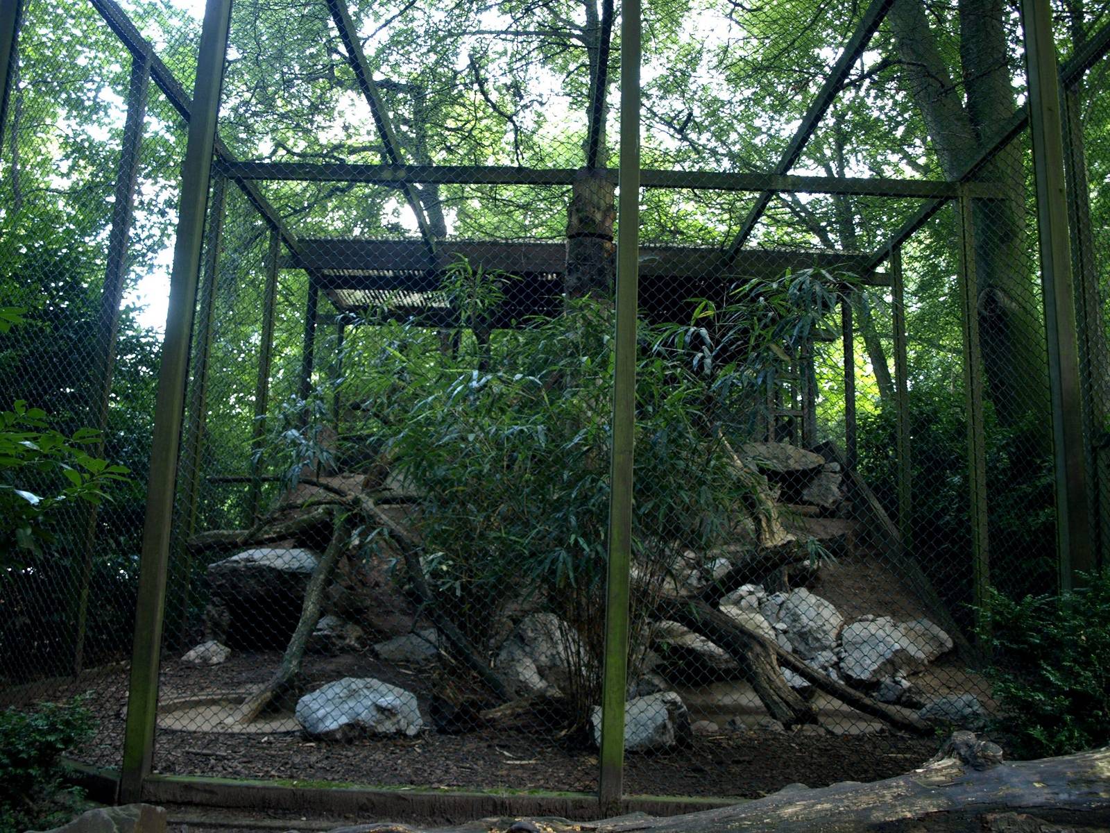 Duisburg Zoo - Lynx exhibit