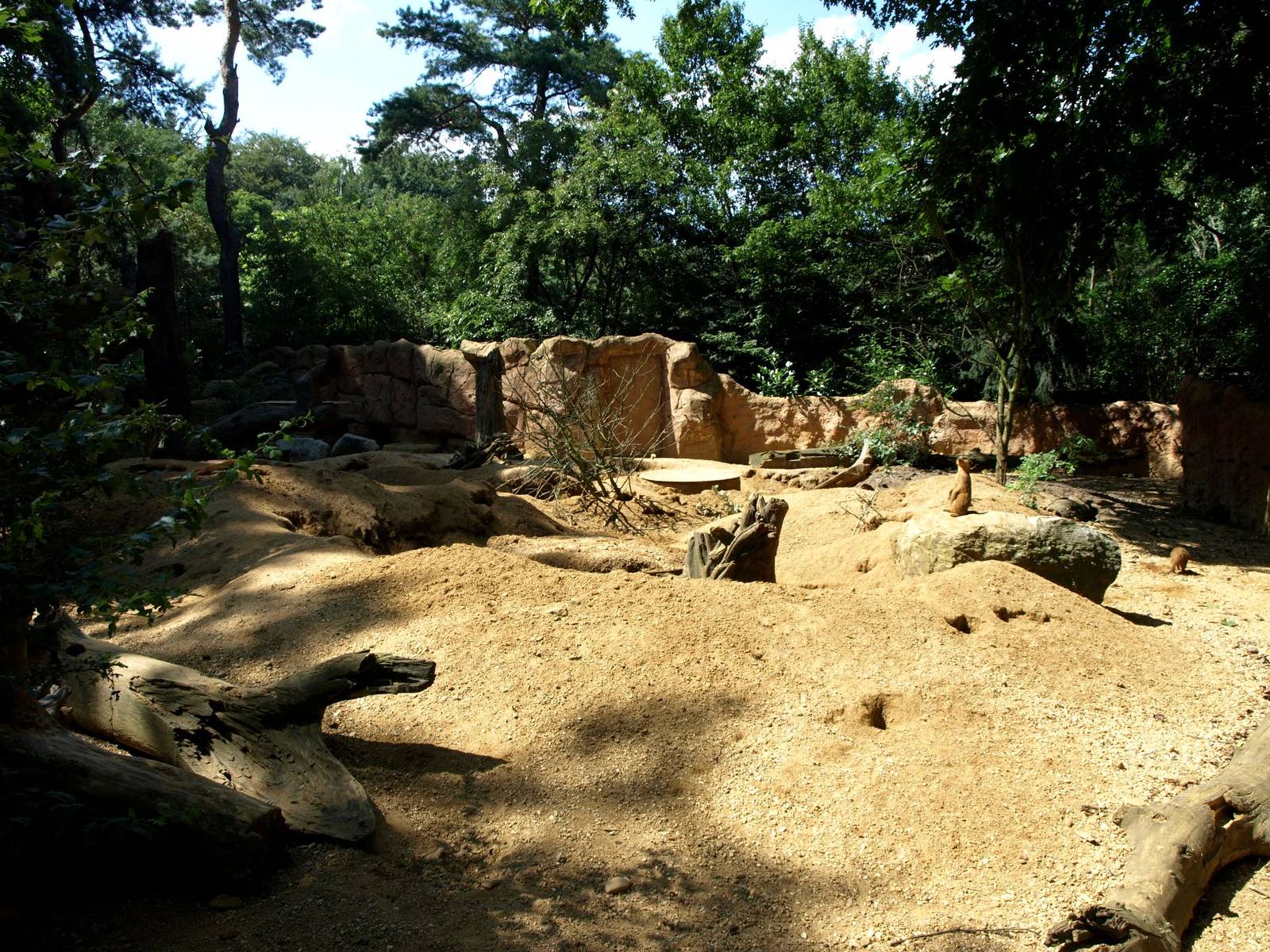Duisburg Zoo - Meerkat exhibit