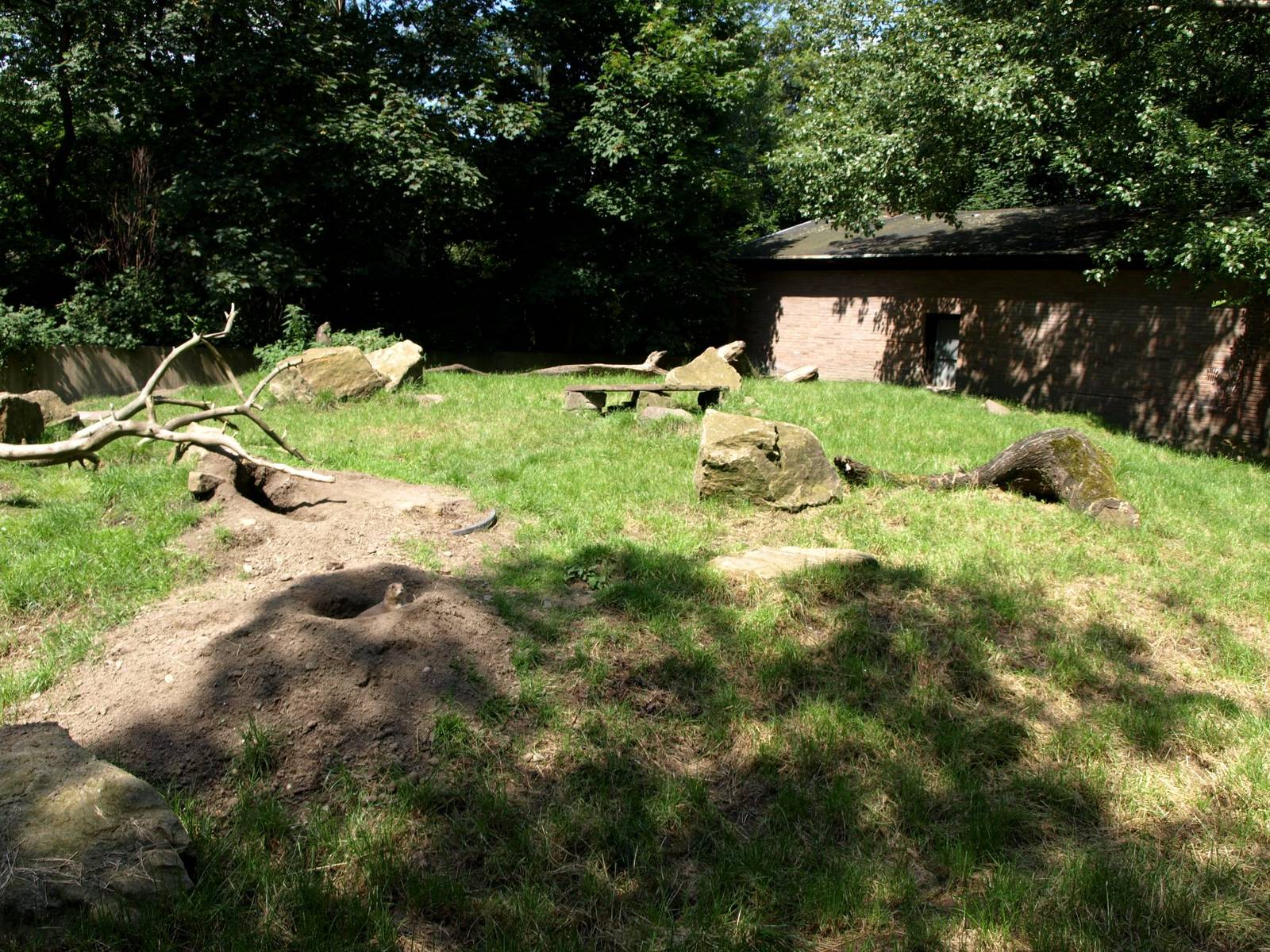 Duisburg Zoo - Prairie dog exhibit