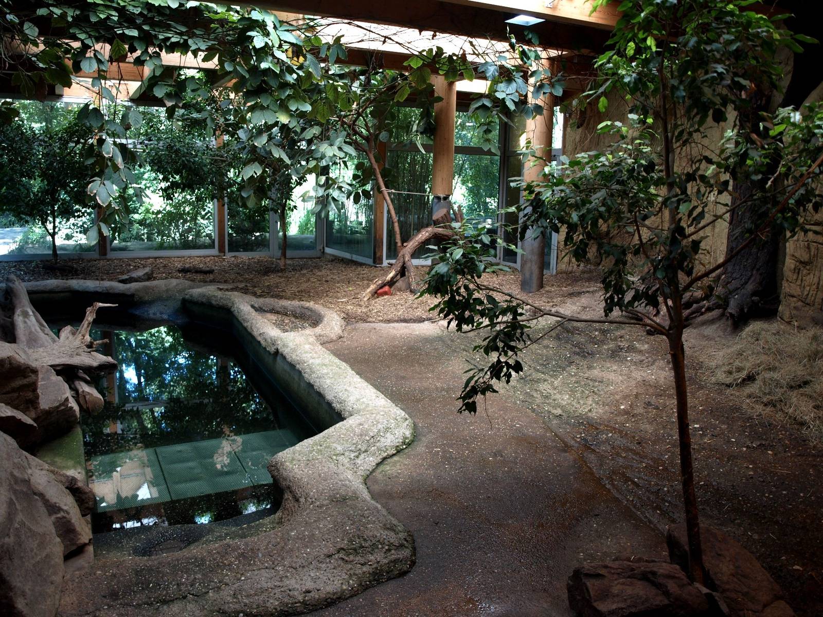 Duisburg Zoo - Pygmy hippo house