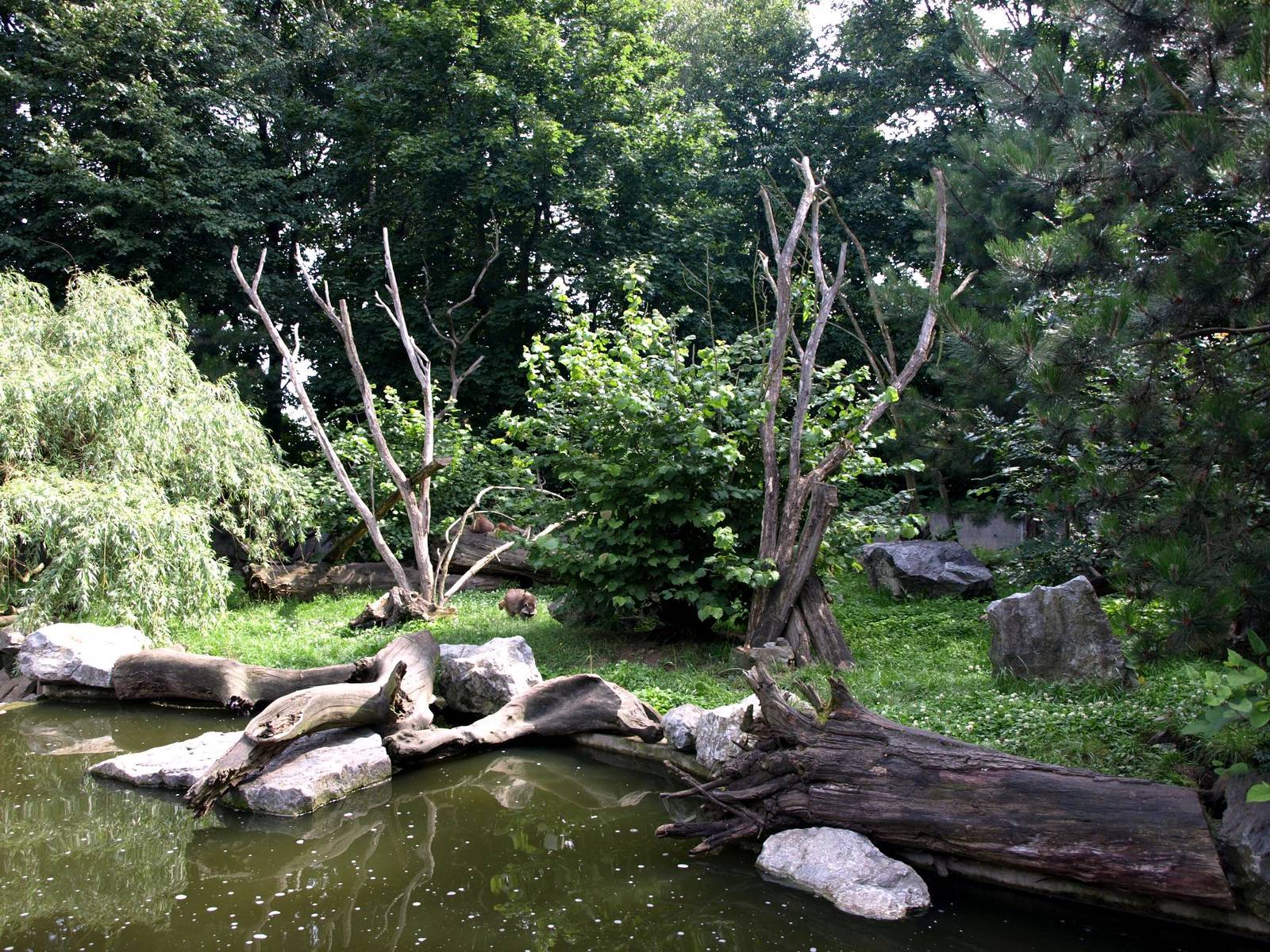 Duisburg Zoo - Raccoon exhibit