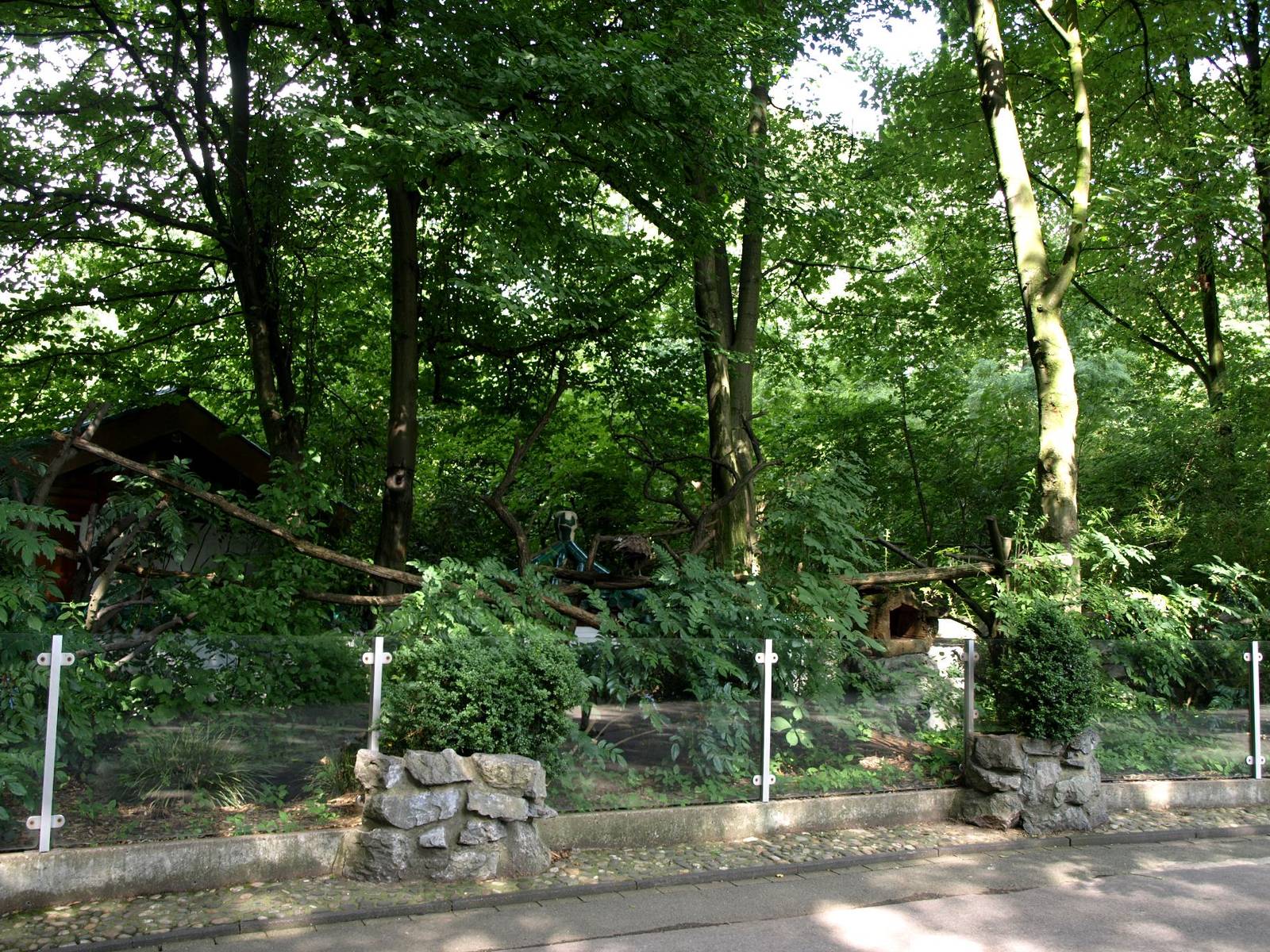 Duisburg Zoo - Red panda exhibit