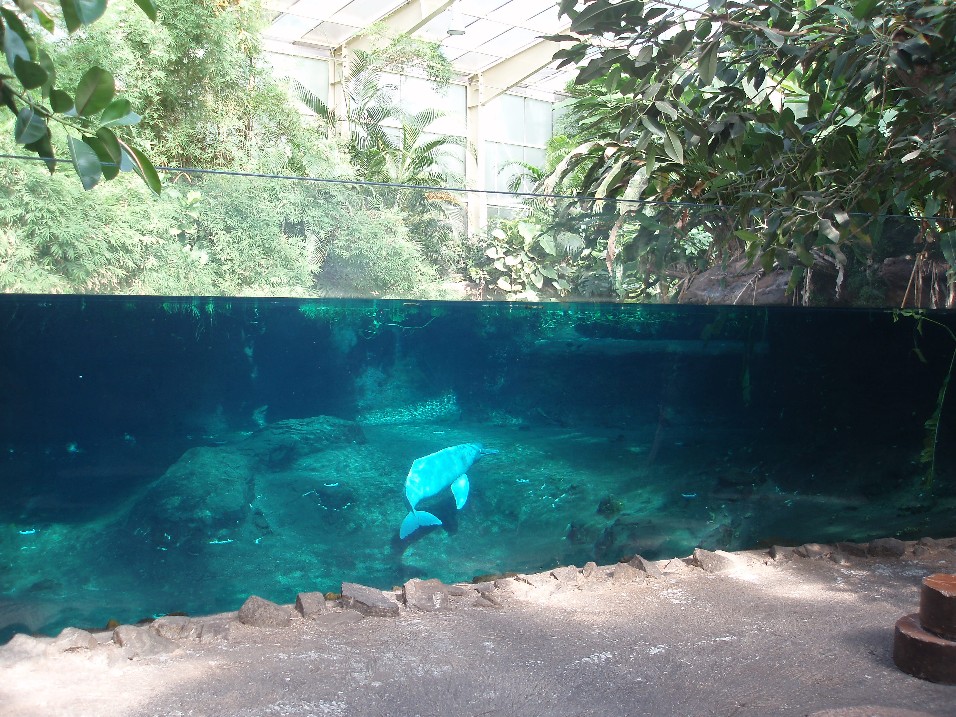 Duisburg Zoo - Rio Negro