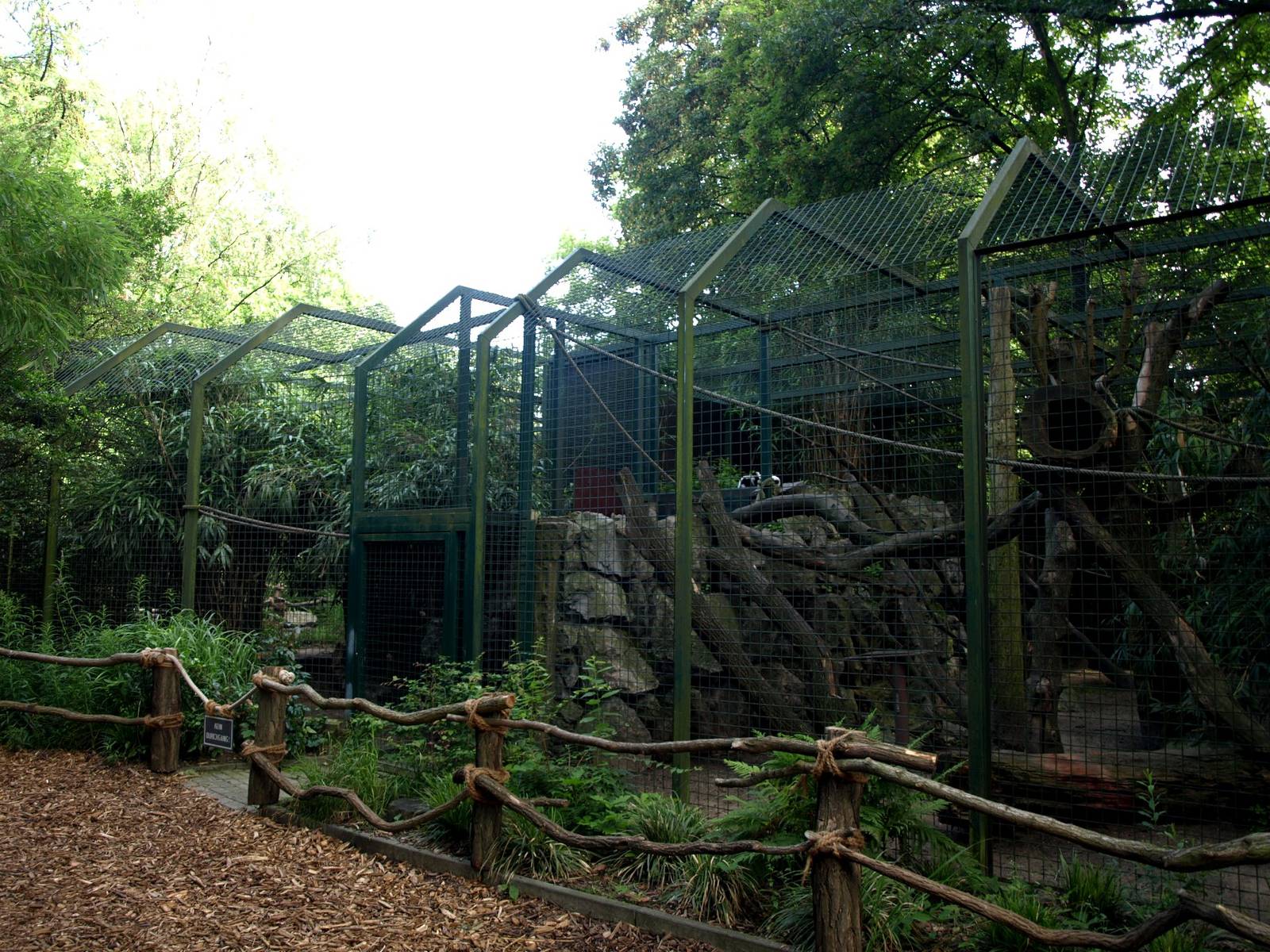 Duisburg Zoo - Ruffed lemur exhibits