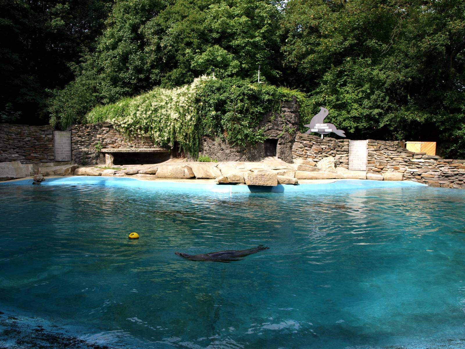 Duisburg Zoo - Sea lion exhibit