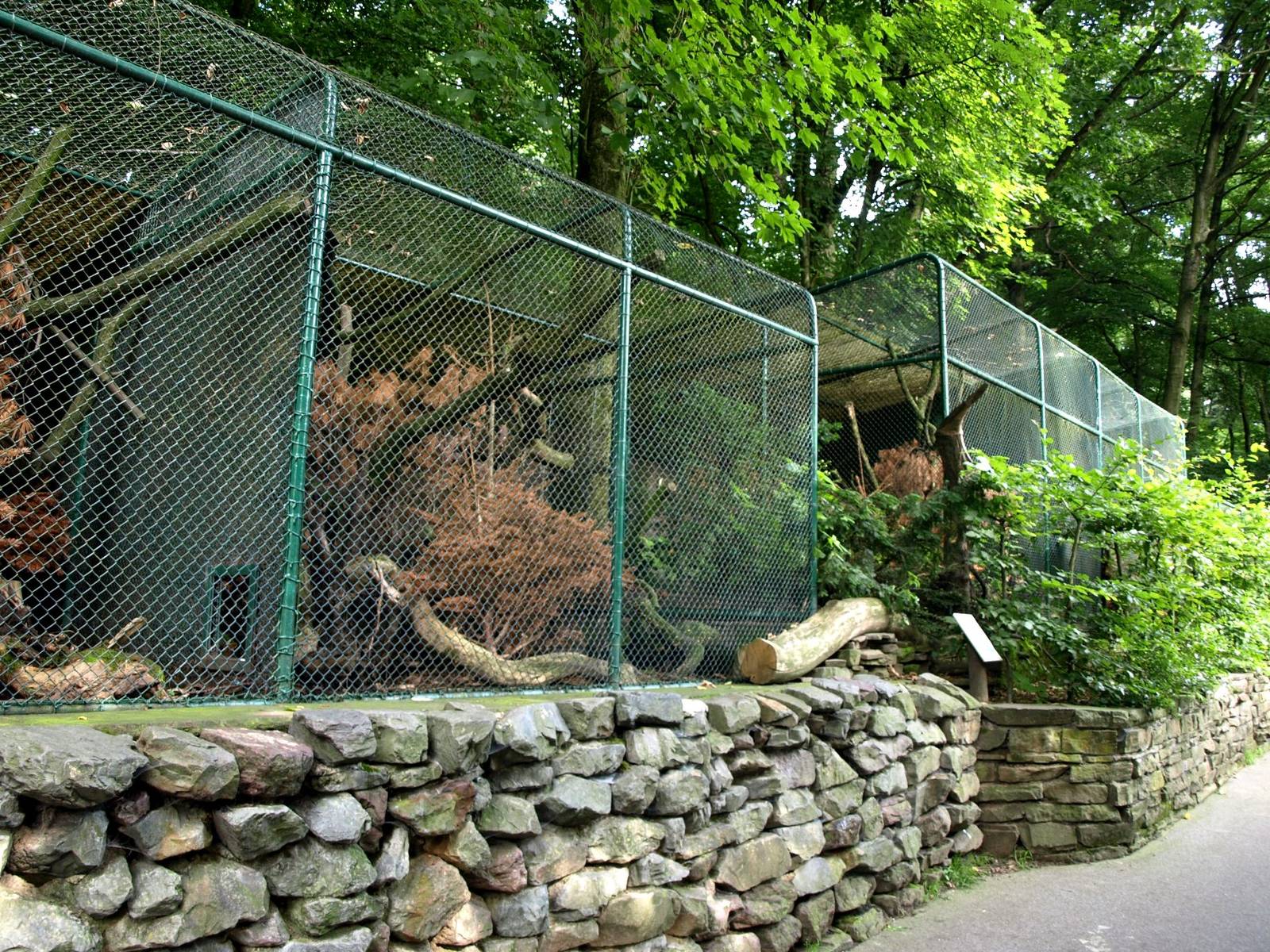 Duisburg Zoo - Wildcat exhibits