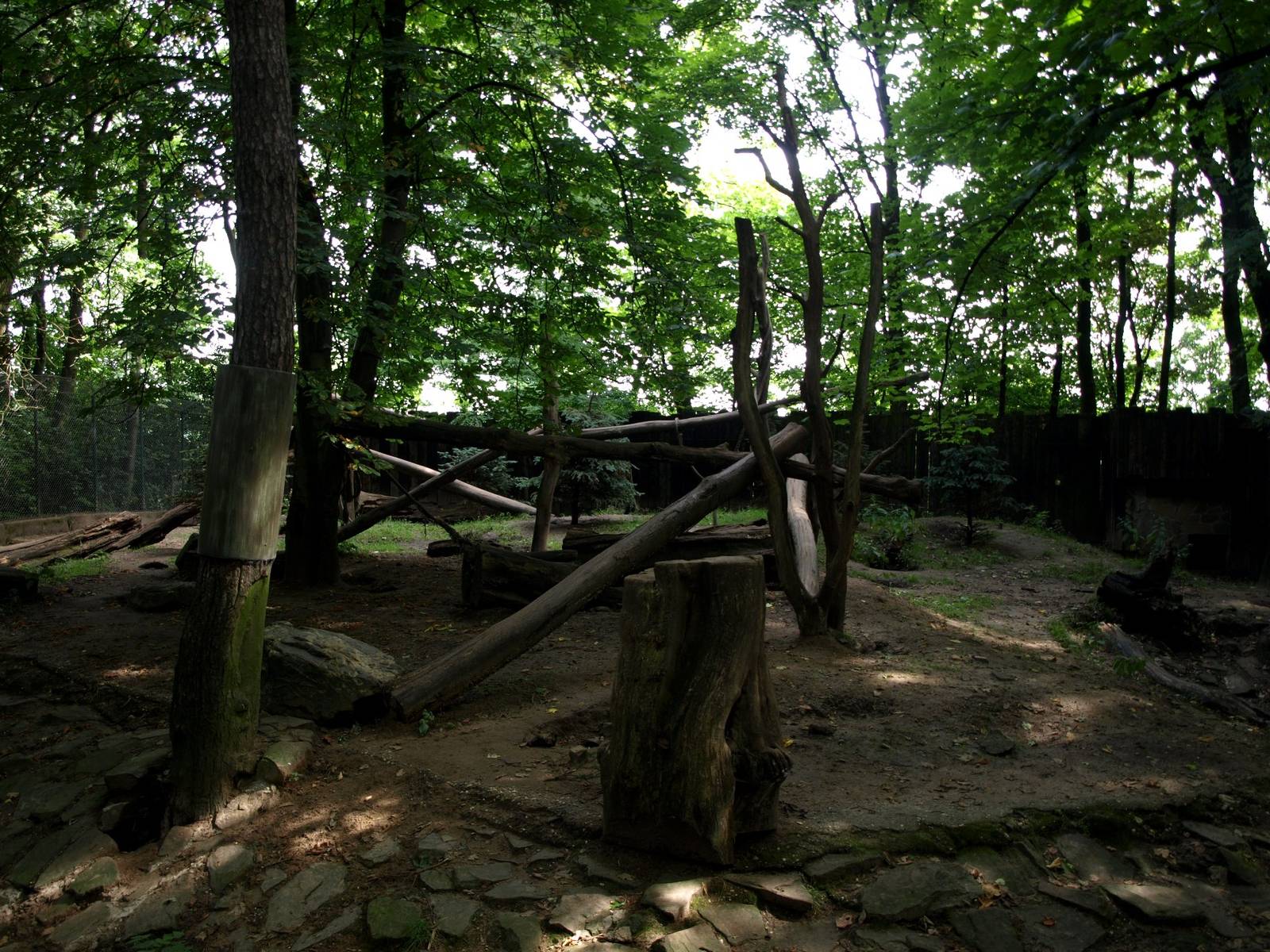 Duisburg Zoo - Wolverine exhibit