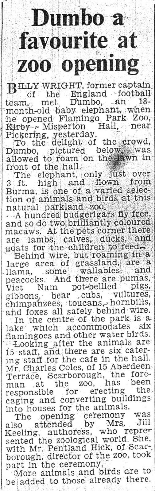 Dumbo at Zoo Opening