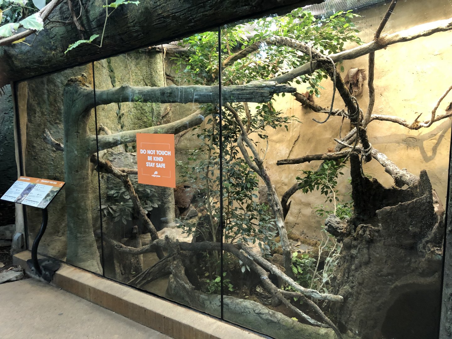 Dumeril’s Boa & Malagasy Tree Boa Exhibit