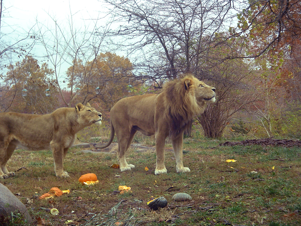 Dumisani and Jean watching