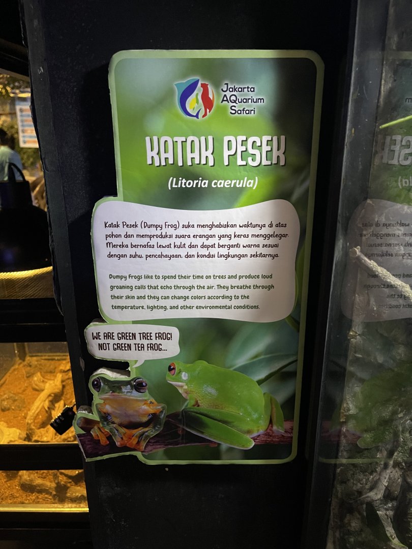 dumpy tree frog signage