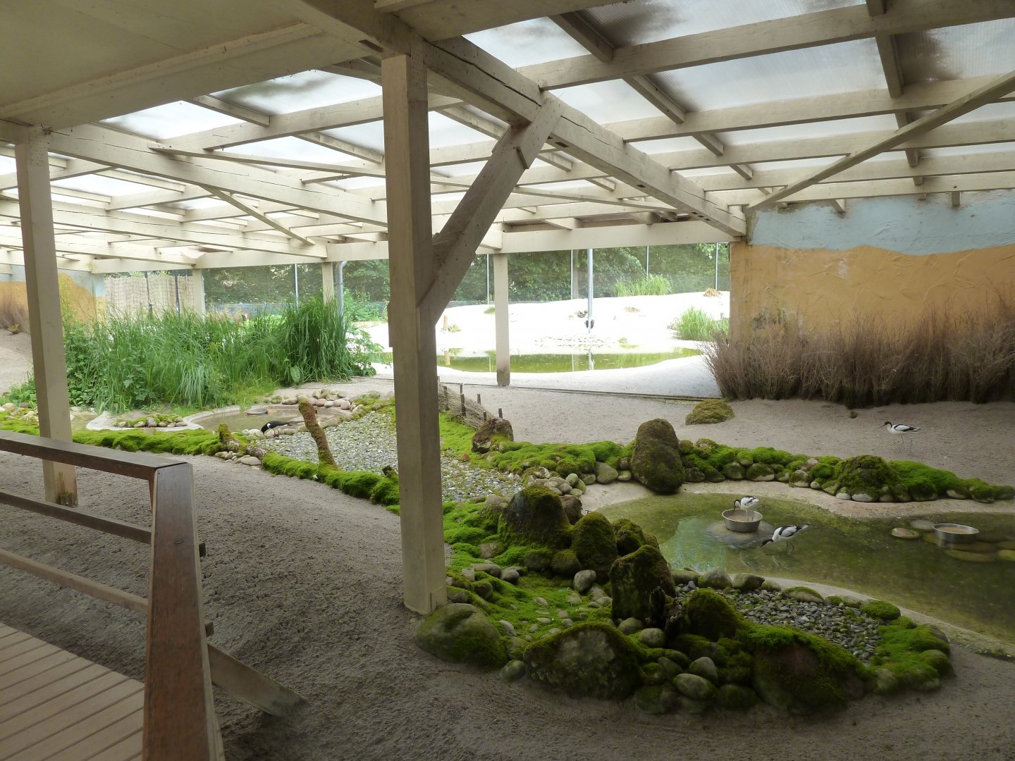 Dünenlandschaft aviary