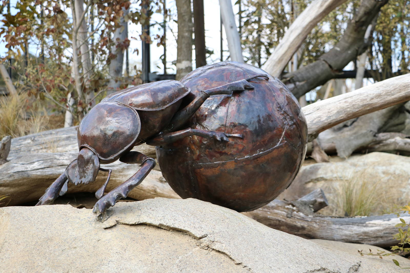 Dung beetle statue, February 2016