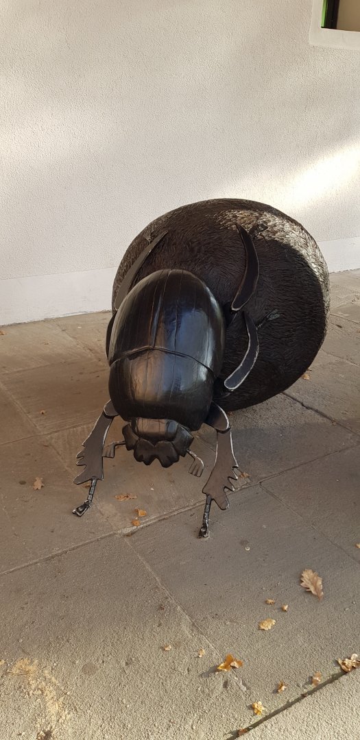 Dung beetle statue