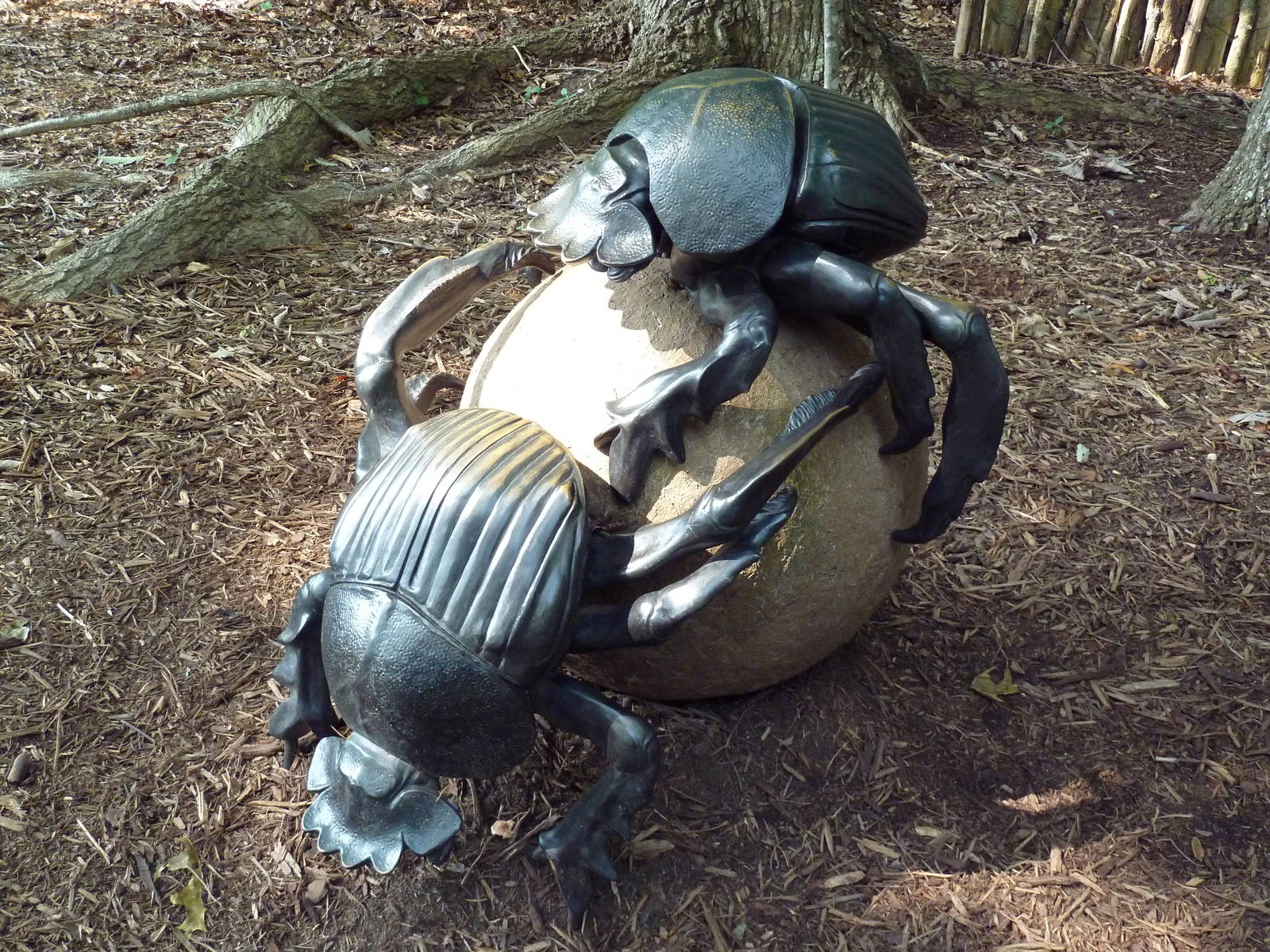 Dung Beetles