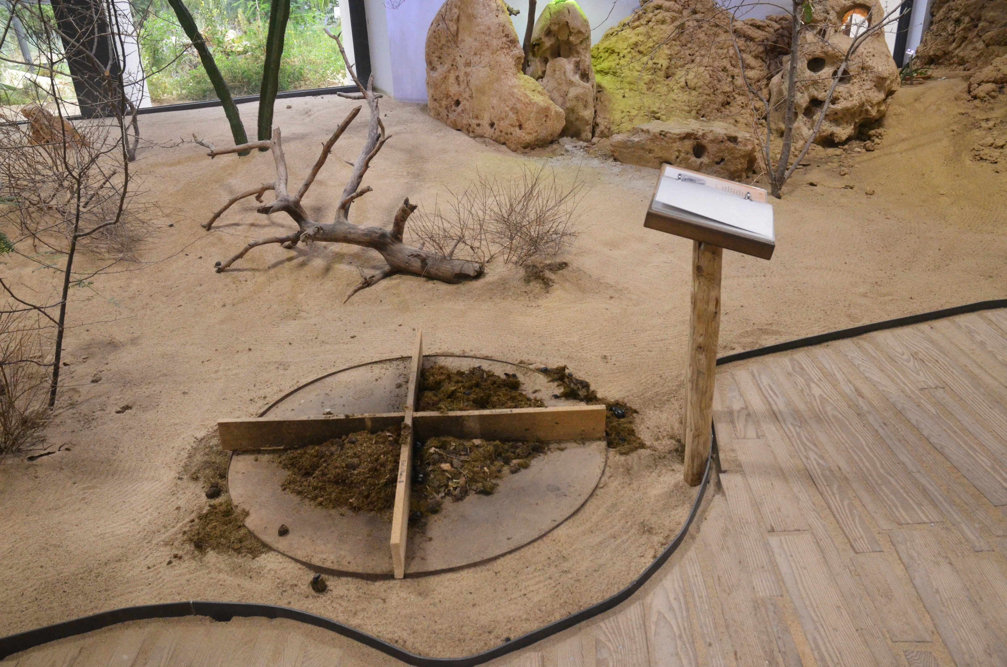 Dung Station - Desert House at Nuremberg, 07/09/19