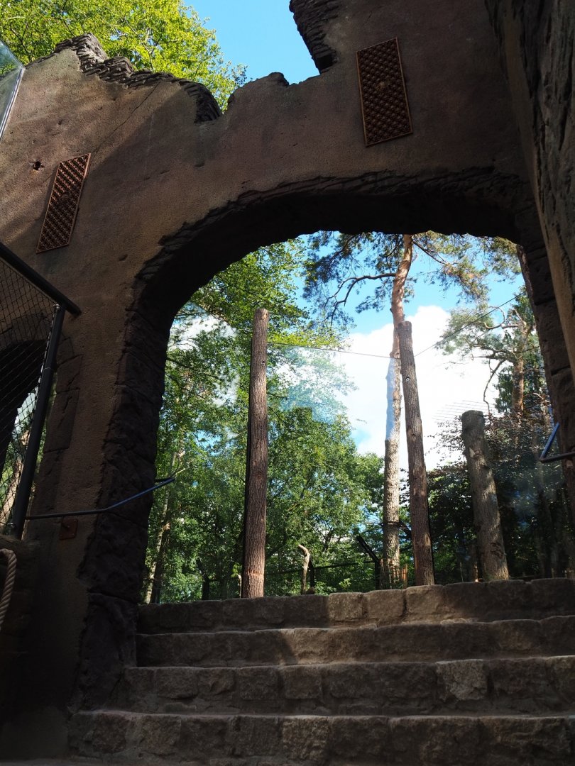 Dungeon exhibit and lion viewing area