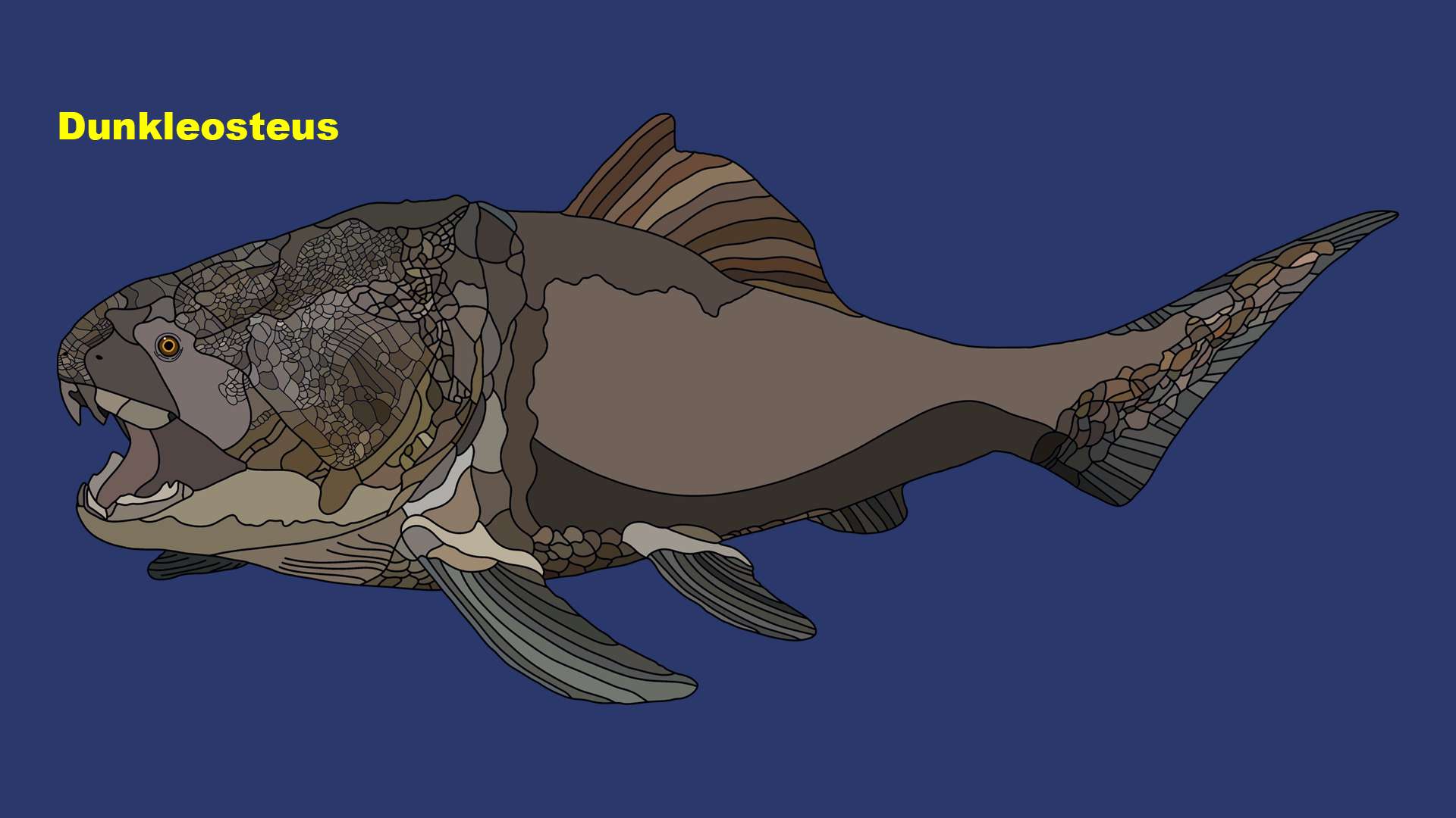 Dunkleosteus (Dunkleosteus terrelli)