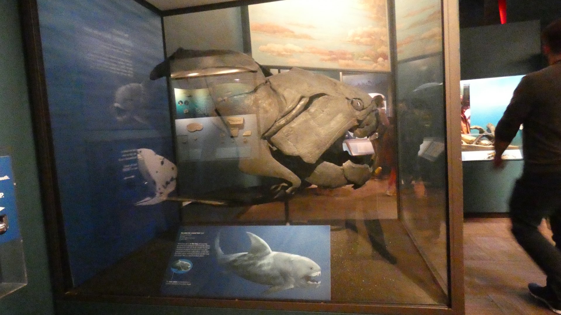 Dunkleosteus, Evolving Planet - Feb. 2022