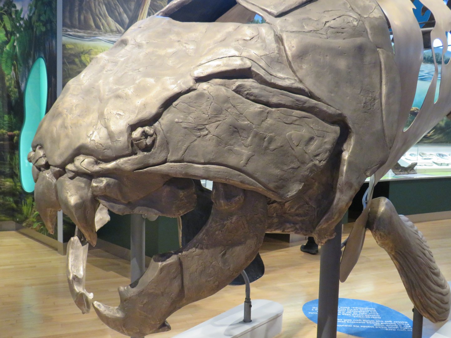 Dunkleosteus