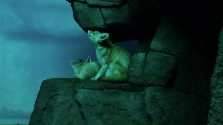 Duplicate Please Delete