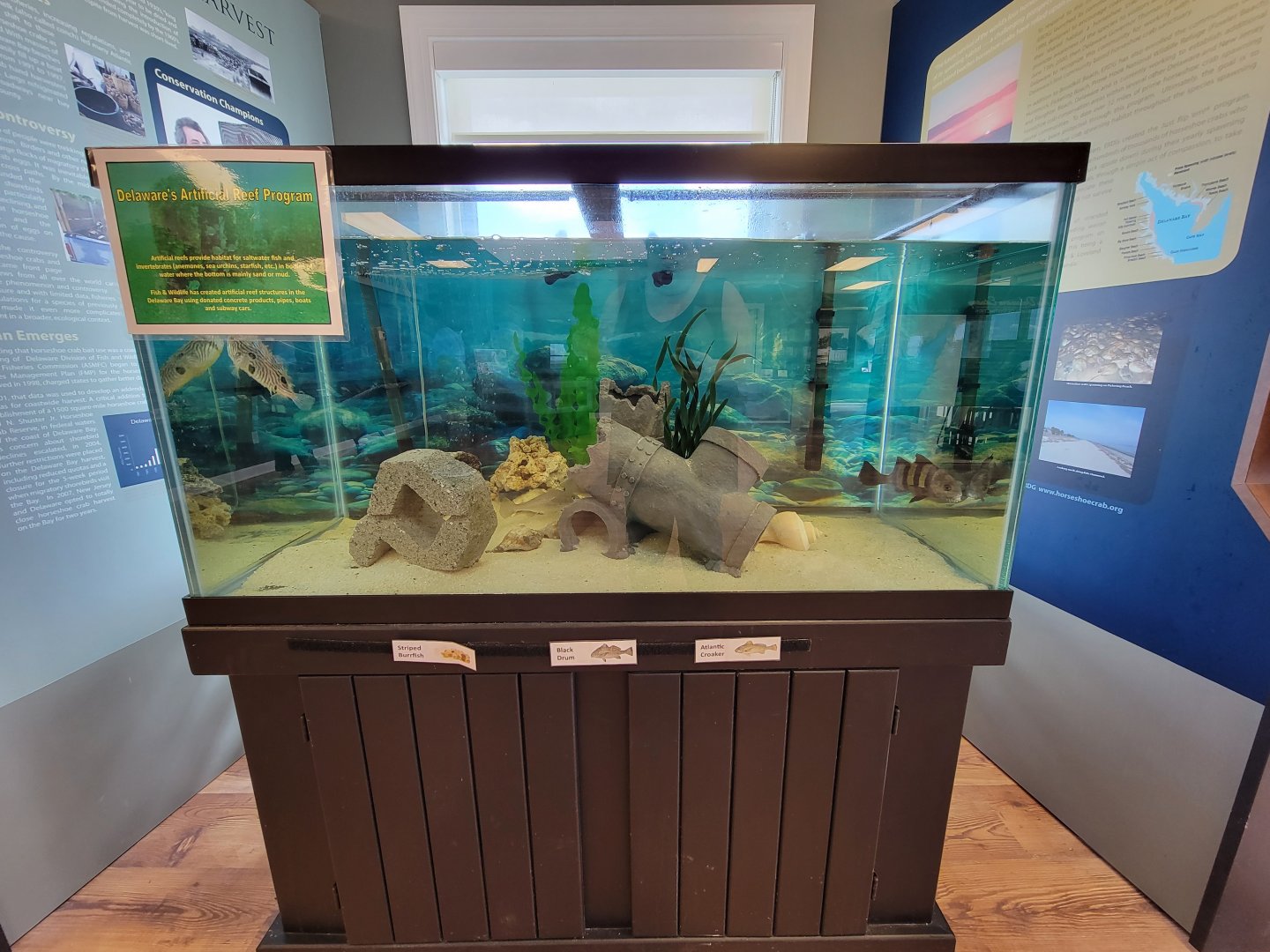 Dupont NC - Artifical Reef tank