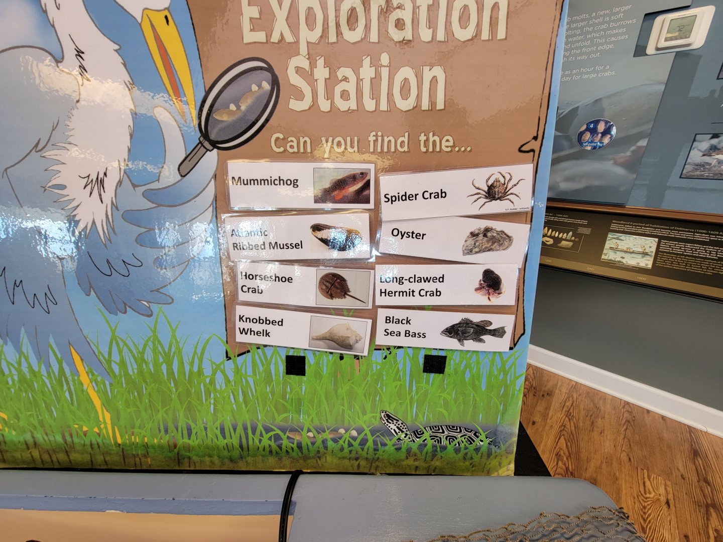 Dupont NC - Exploration Station species