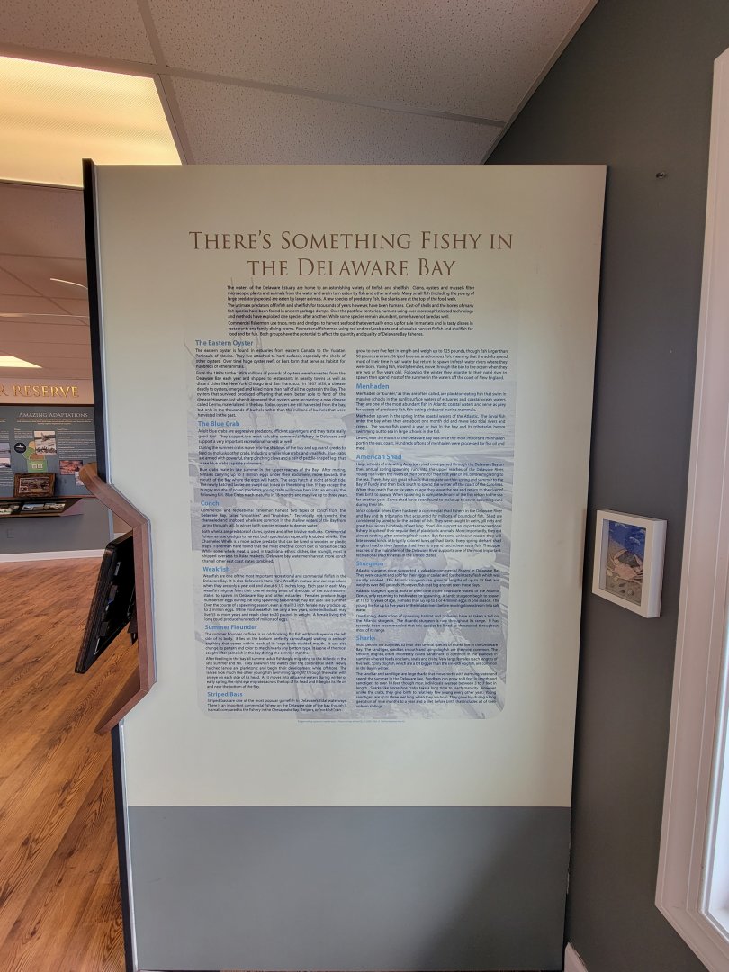 Dupont NC - Fish of the Delaware Bay