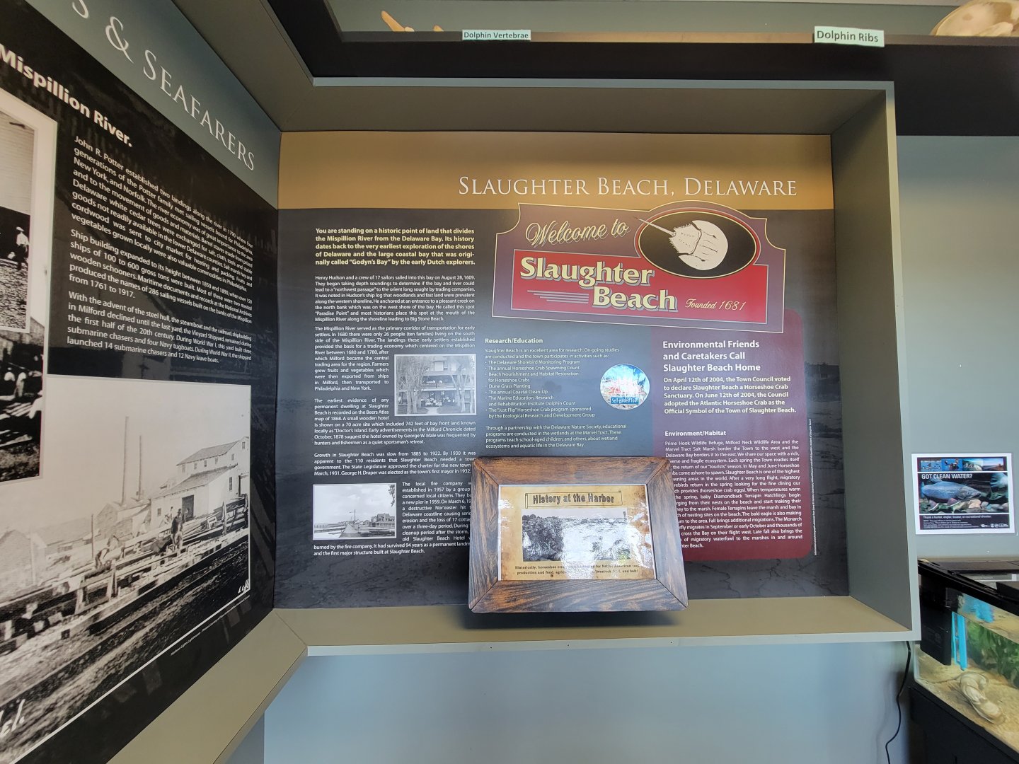 Dupont NC - History of the beach