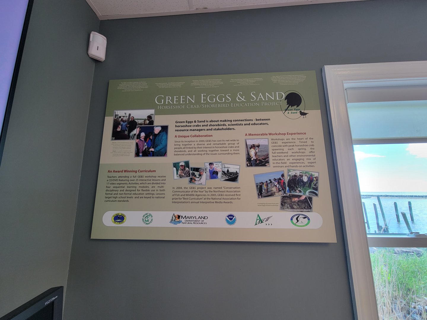 Dupont NC - Horseshoe crab education project