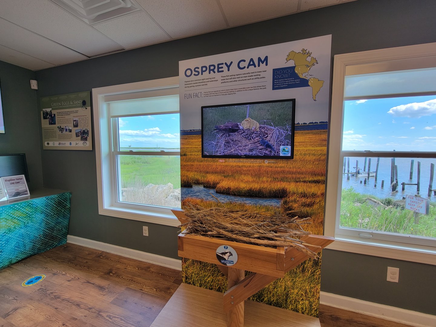 Dupont NC - Osprey cam, with the nest viewable out the left window