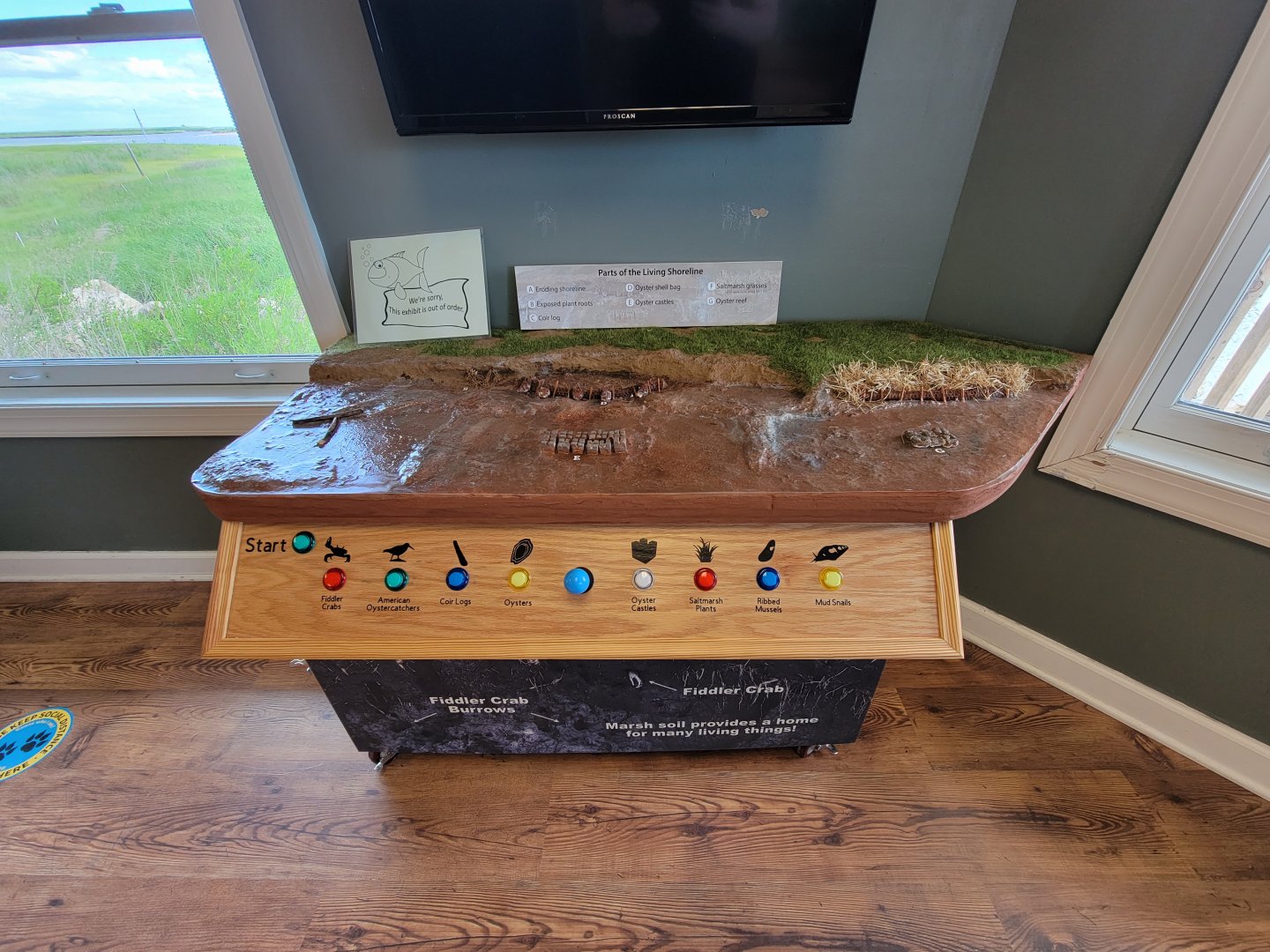 Dupont NC - Parts of the living shoreline