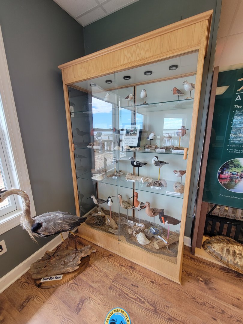 Dupont NC - Shorebird carvings