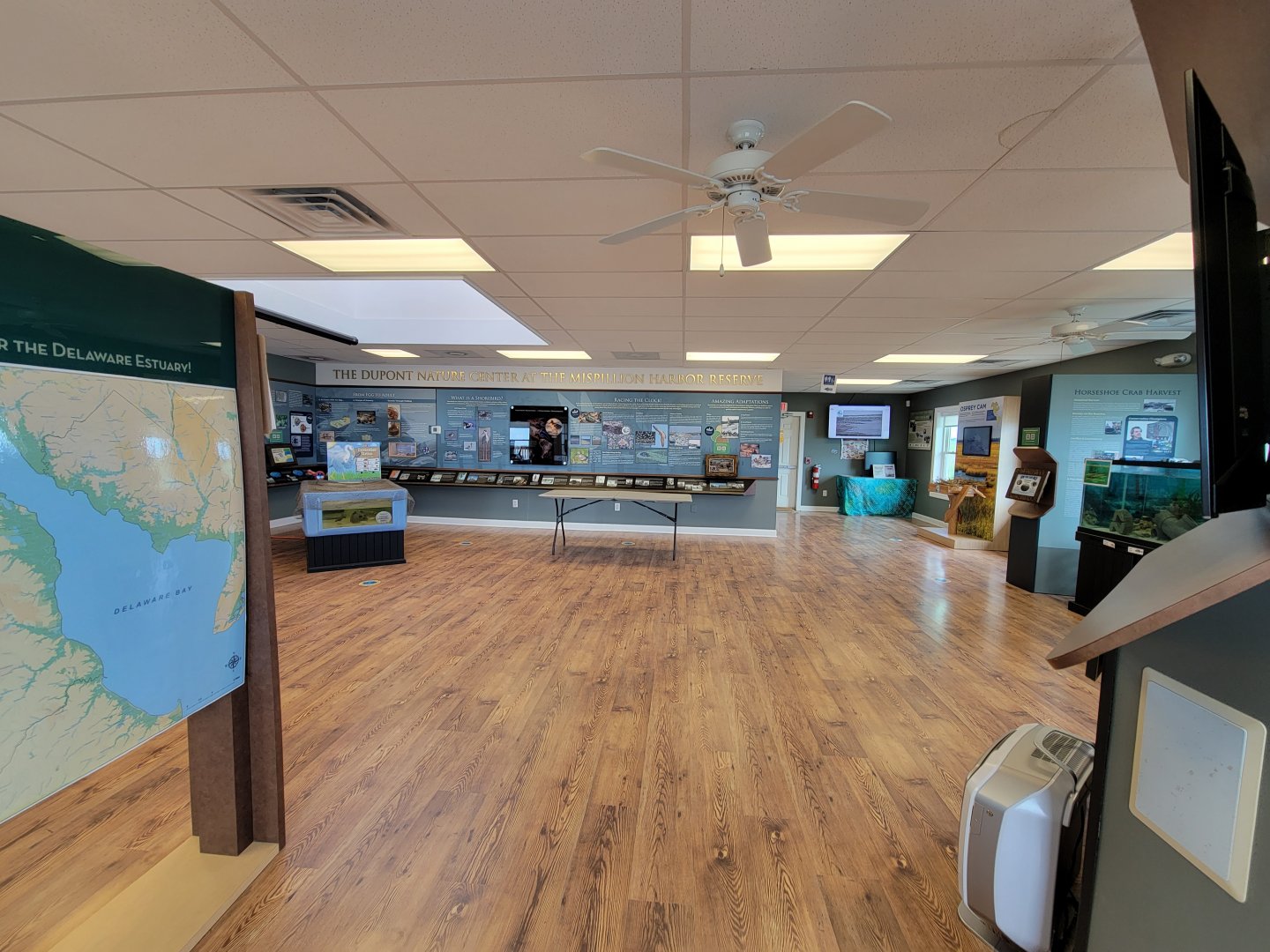 Dupont NC - View of room