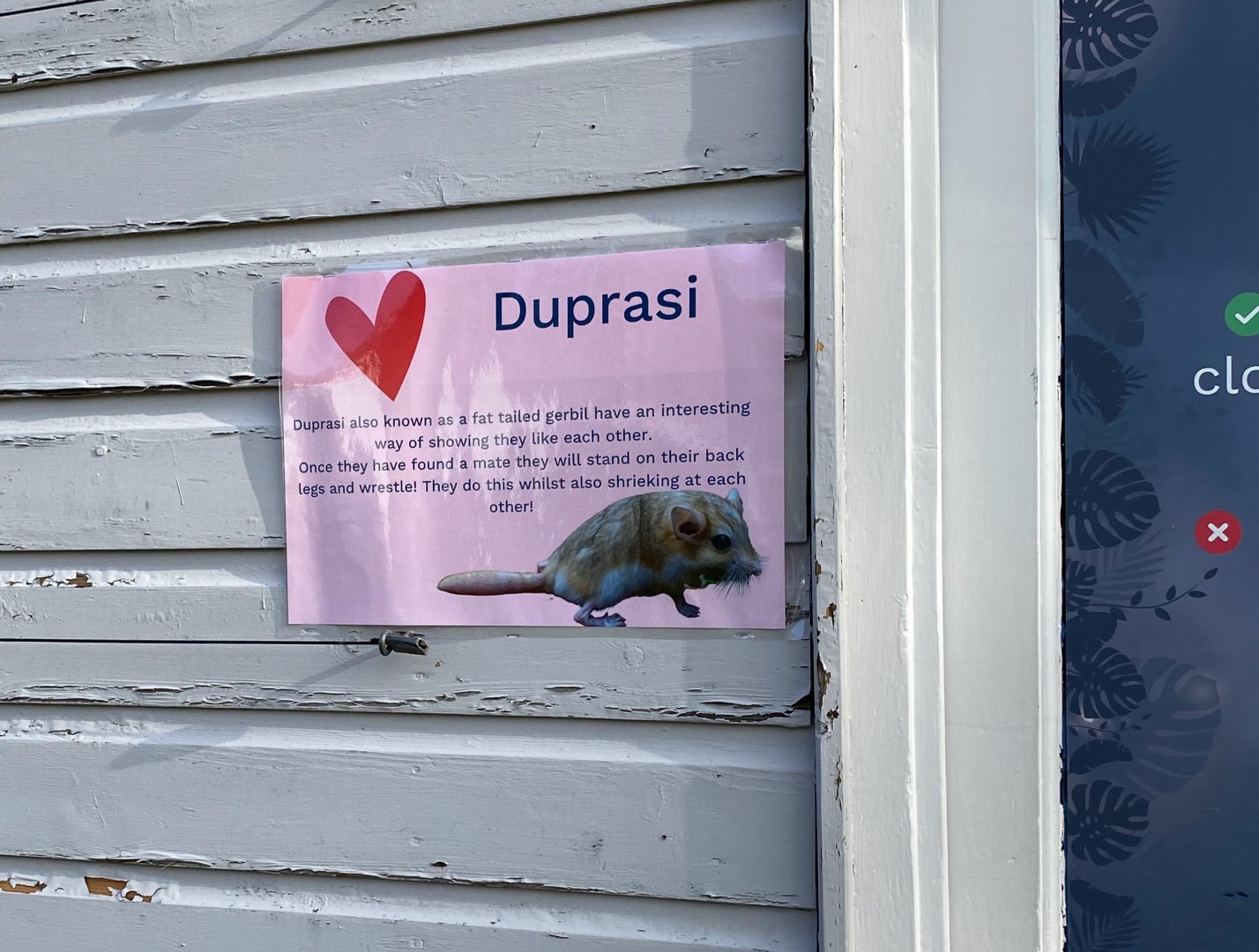 Duprasi sign, Beale Park, UK