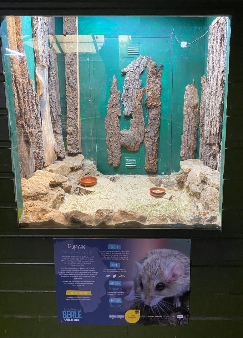 Duprasi signage, Beale Park, UK