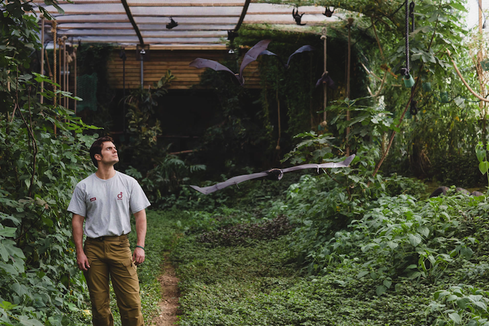 Durrell's new Ambassador, Henry Cavill