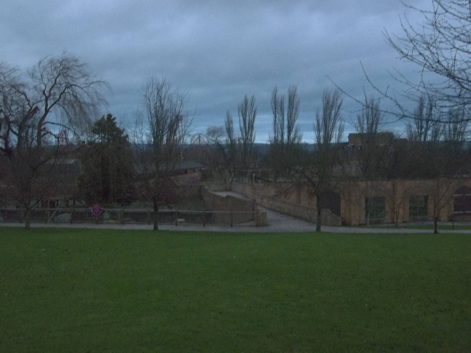 Dusk starts to fall over the Tiger and Red Panda exhibits, 22nd December 20