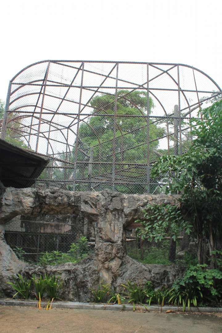 Dusky Langur cage