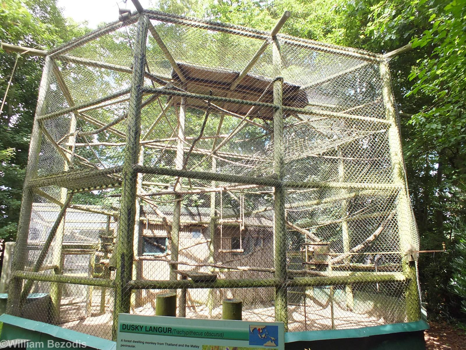 Dusky Langur Enclosure
