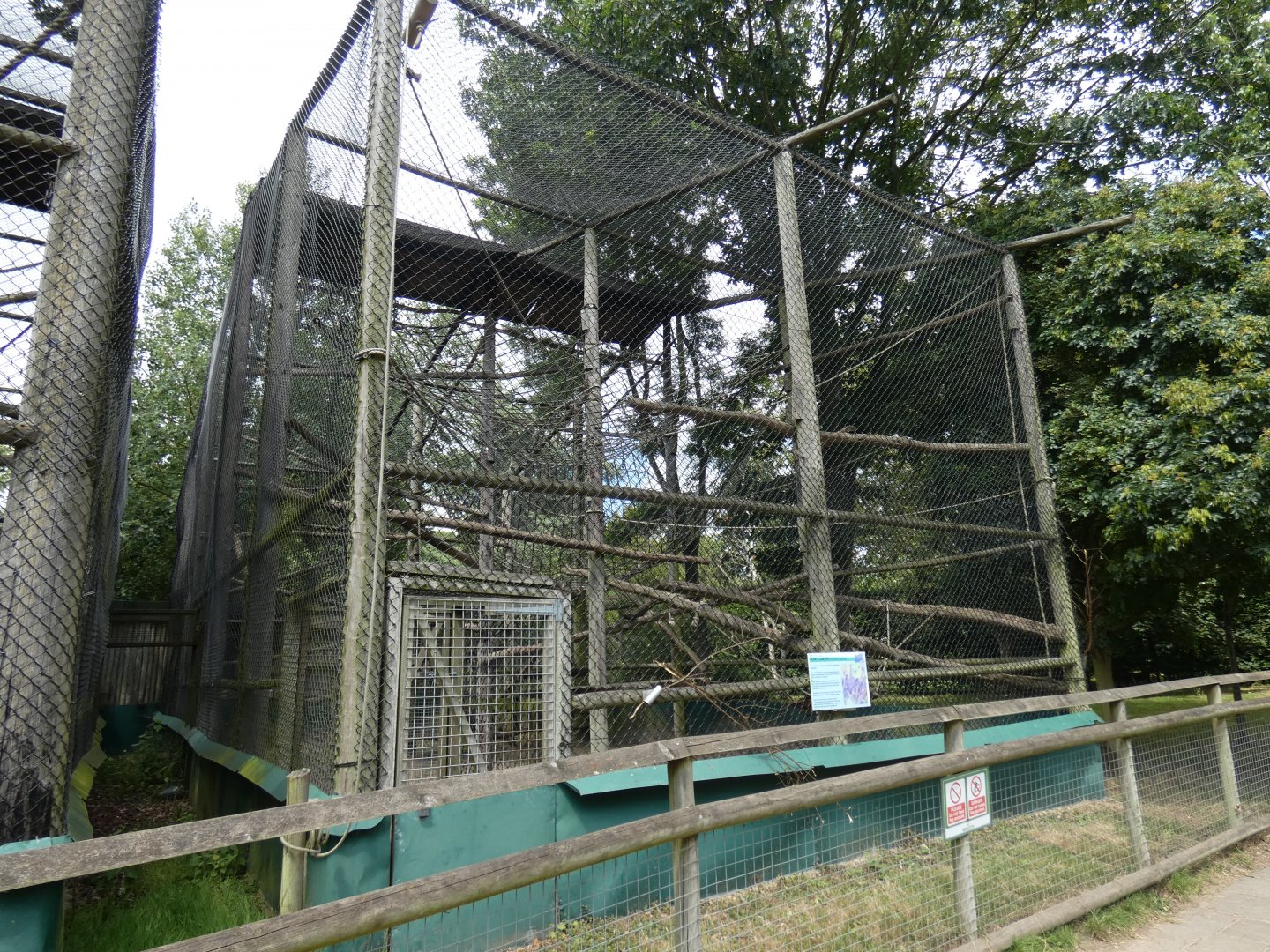 Dusky Langur enclosure
