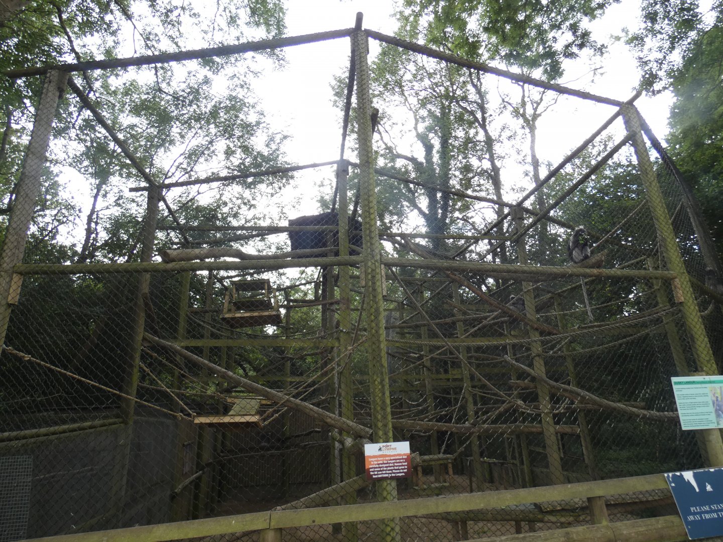 Dusky Langur enclosure