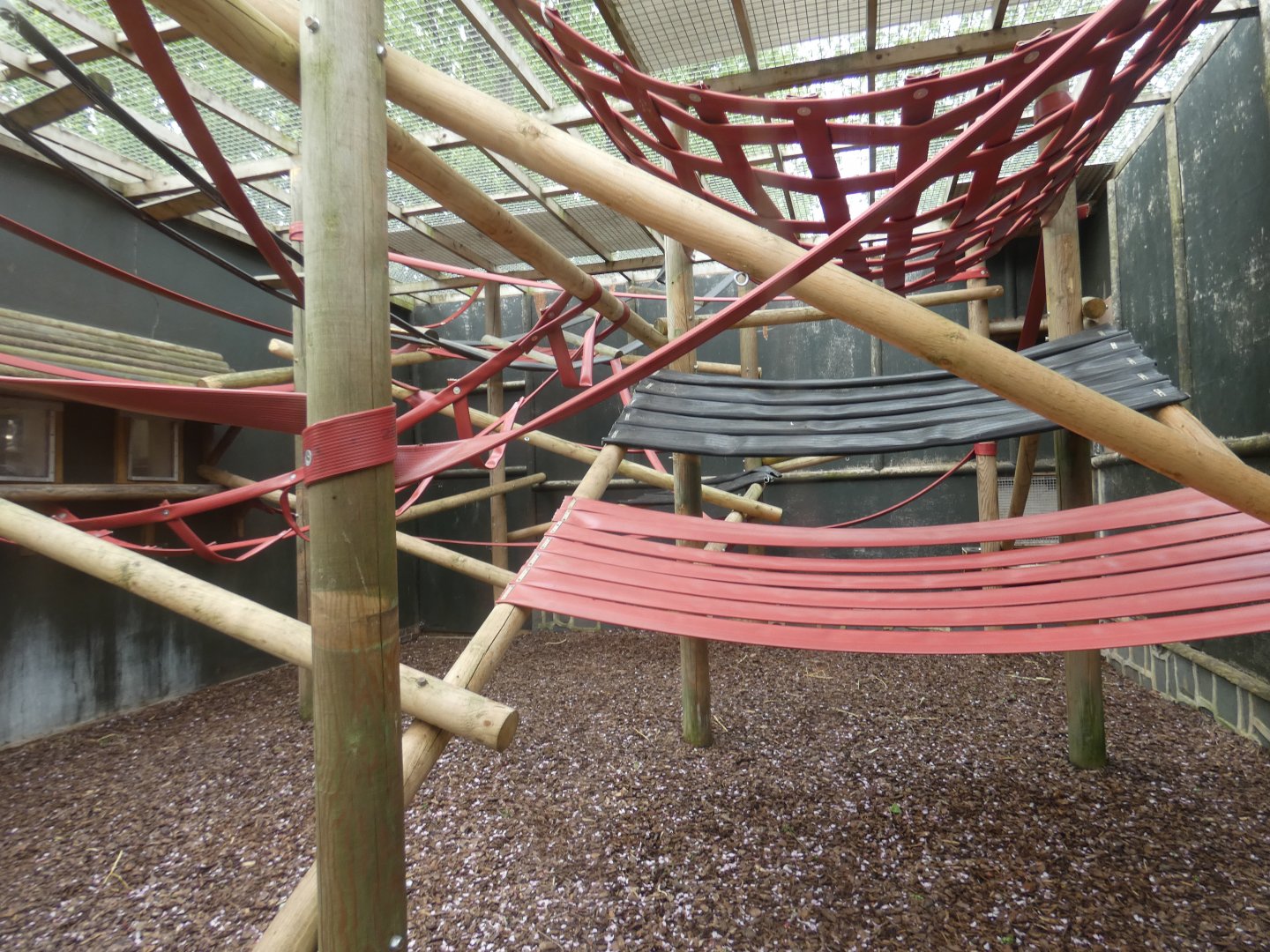 Dusky langur enclosure