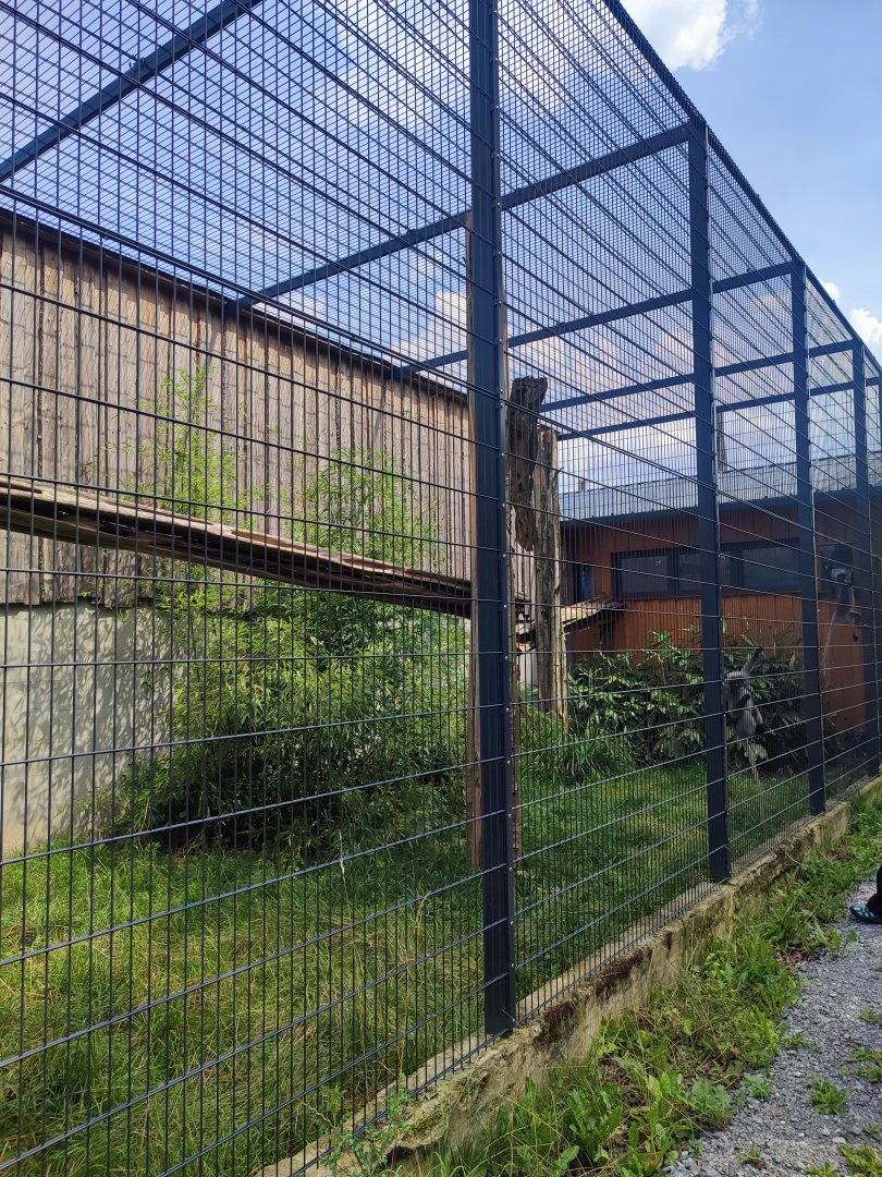 Dusky langur first enclosure - Artenschutzzentrum Grasleben